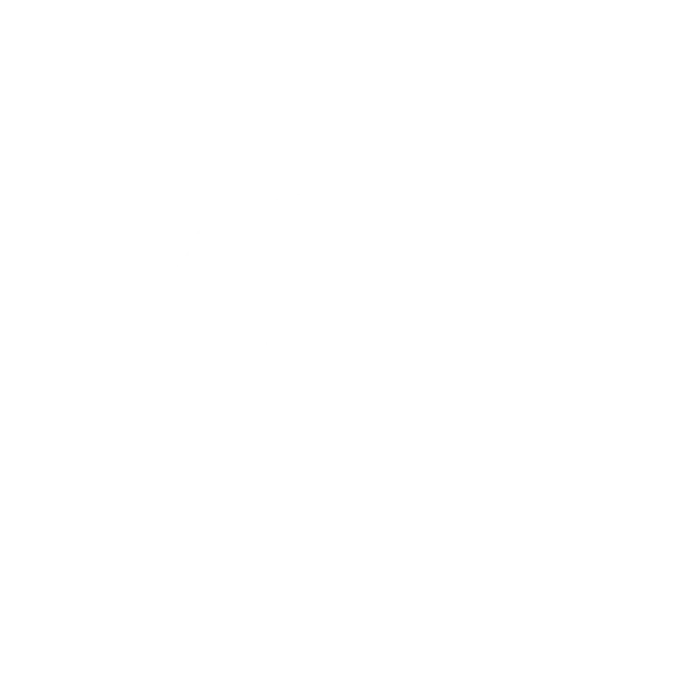Bradley Smokers