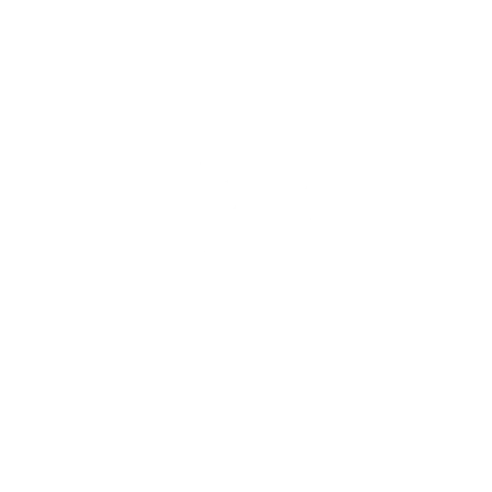 Big Green Egg