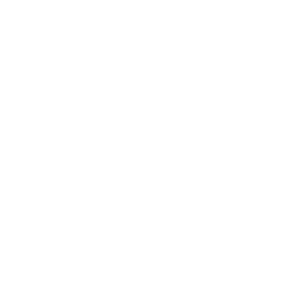 Maytronics Dolphin